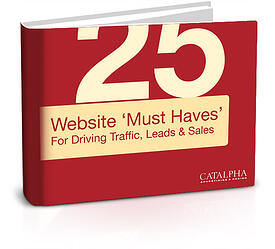Download > 25 Website Must Haves