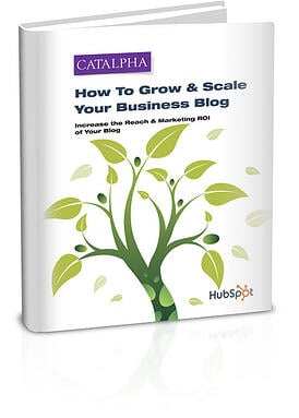 DOWNLOAD --> How To Grow and Scale a Business Blog